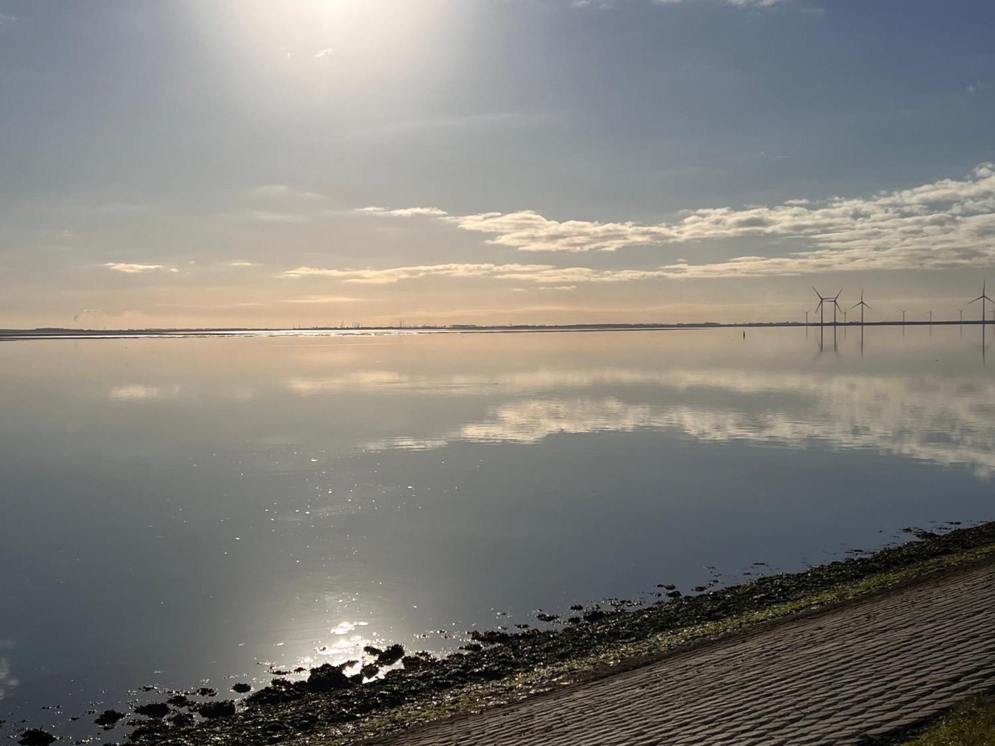 Bed and Breakfast Genieten Aan De Zeeuwse Kust Burgh-Haamstede Exteriér fotografie